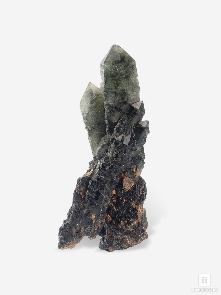 Празем (зелёный кварц), сросток кристаллов 5,7х2,5х2 см, 25741, фото 1