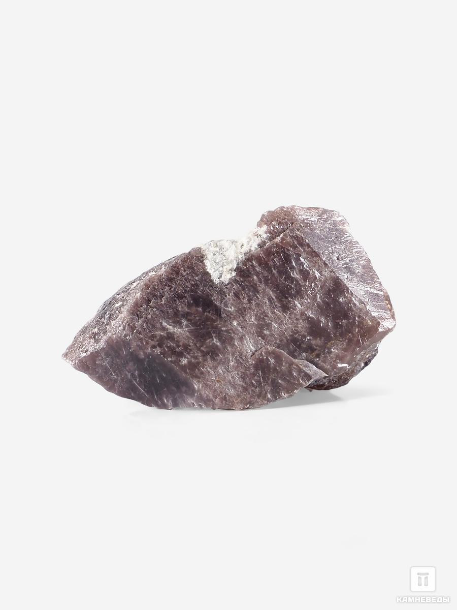 Аксинит-(Fe), 3-4 см, 25892, фото 2