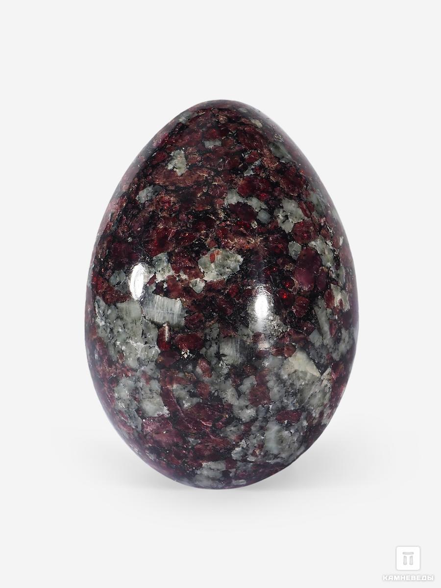 Яйцо из эвдиалита, 6,2х4,4 см, 26077, фото 1