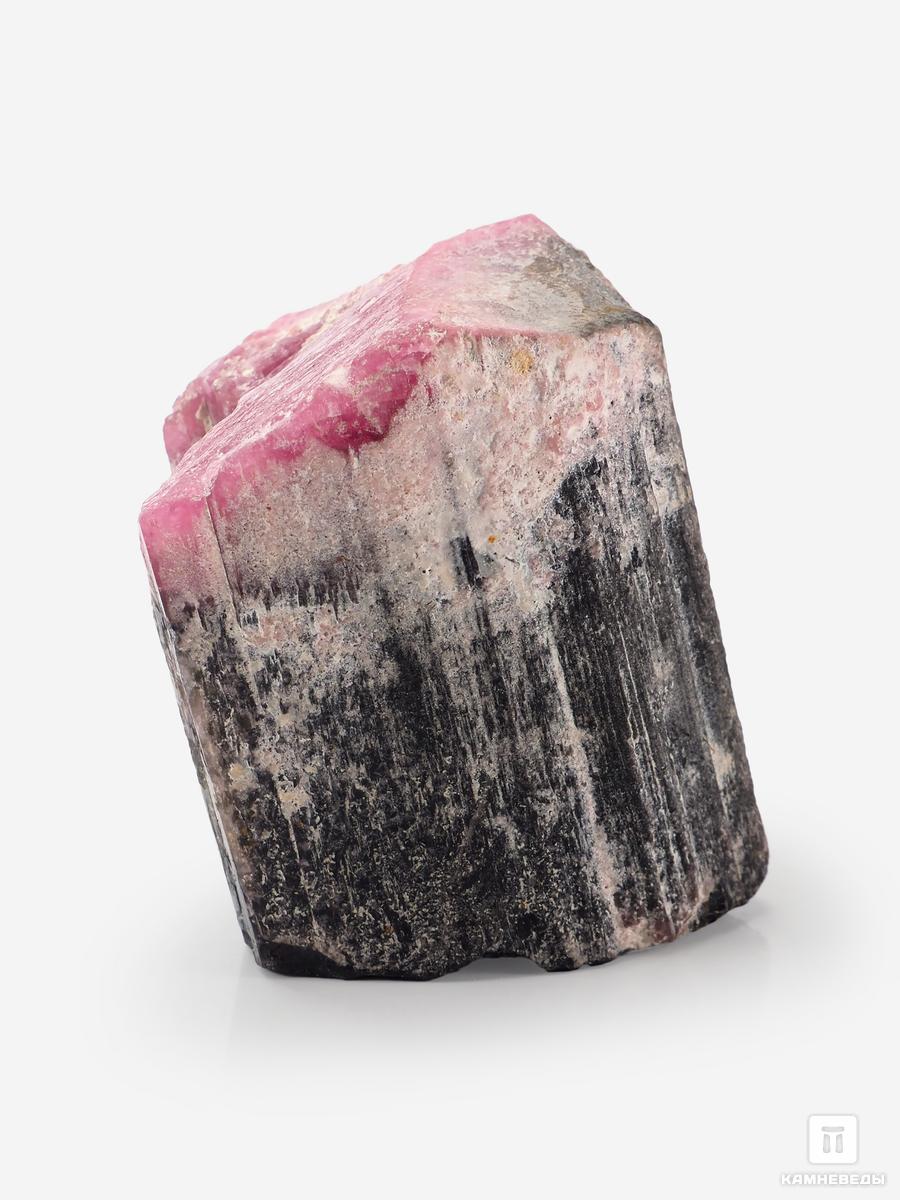 Турмалин, полихромный кристалл 6,3х5х4,7 см, 26161, фото 3