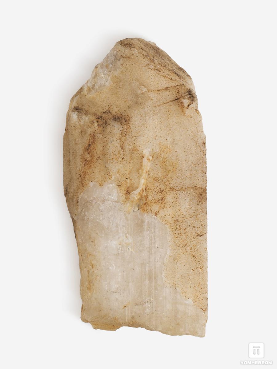 Данбурит, кристалл 6-6,5 см, 25728, фото 3