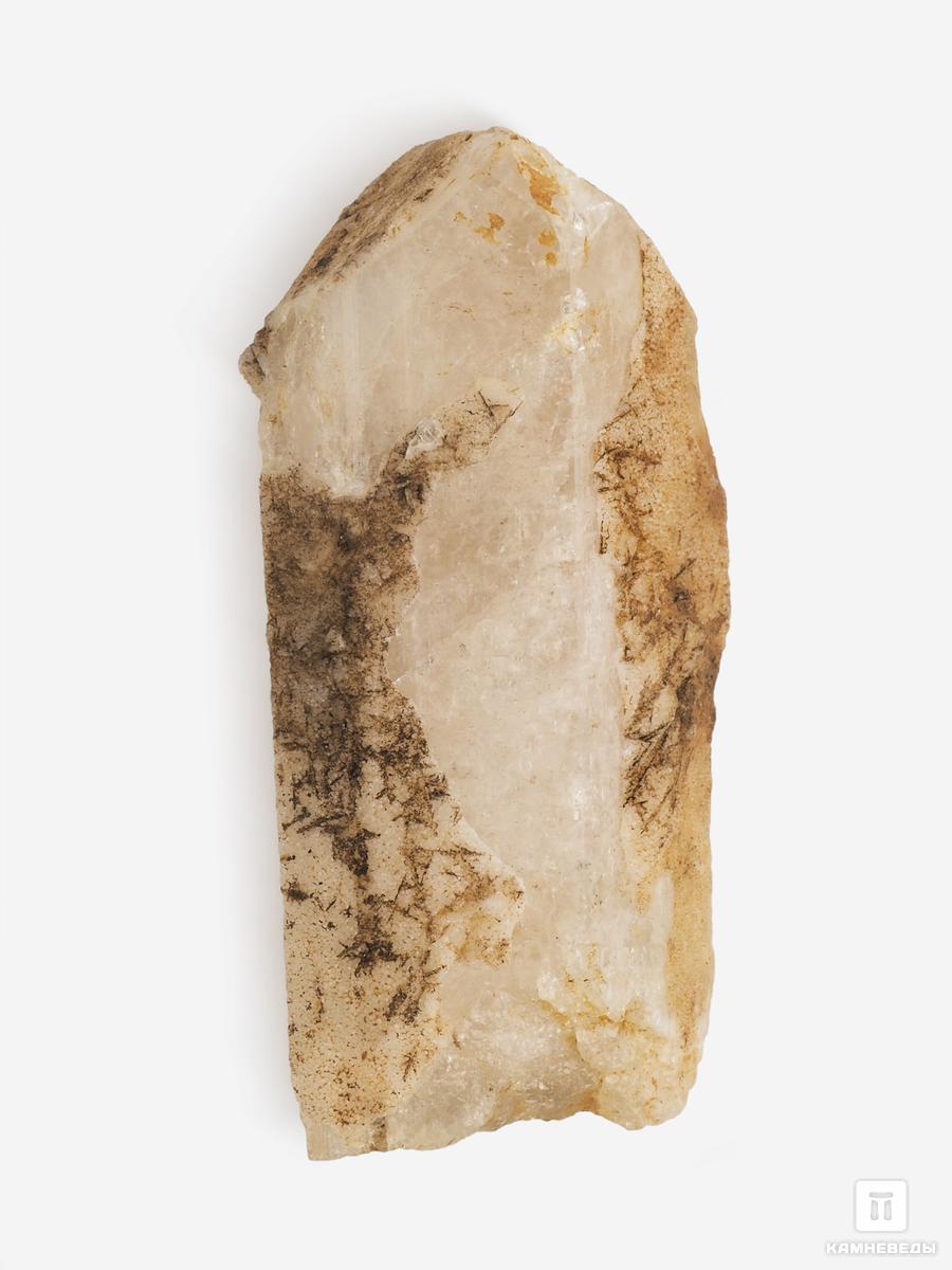 Данбурит, кристалл 6-6,5 см, 25728, фото 4