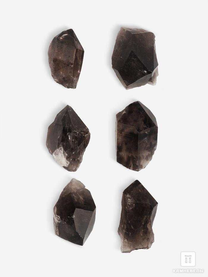 Дымчатый кварц (раухтопаз), кристалл 2,5-4 см, 25427, фото 1