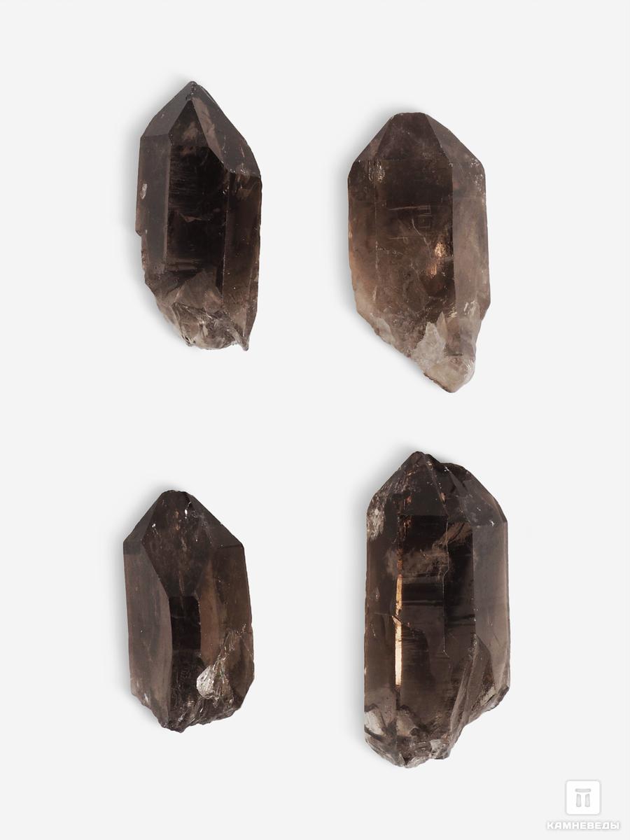Дымчатый кварц (раухтопаз), кристалл 2-3,5 см, 25471, фото 1