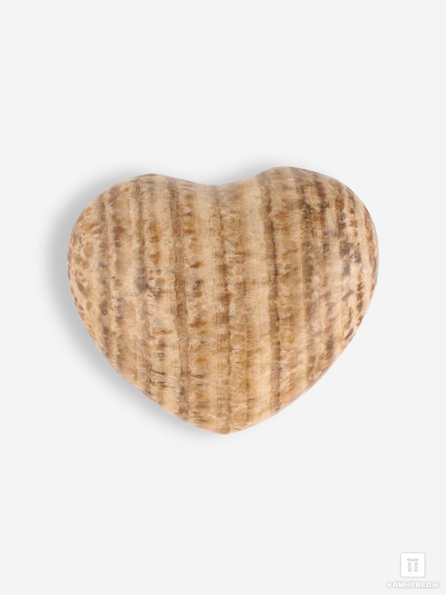 Сердце из арагонита, 4х3,3х2 см сумеречное сердце