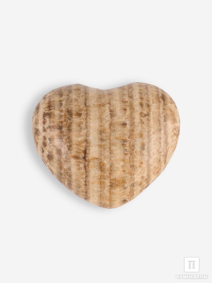 Сердце из арагонита, 4х3,3х2 см, 16354, фото 2