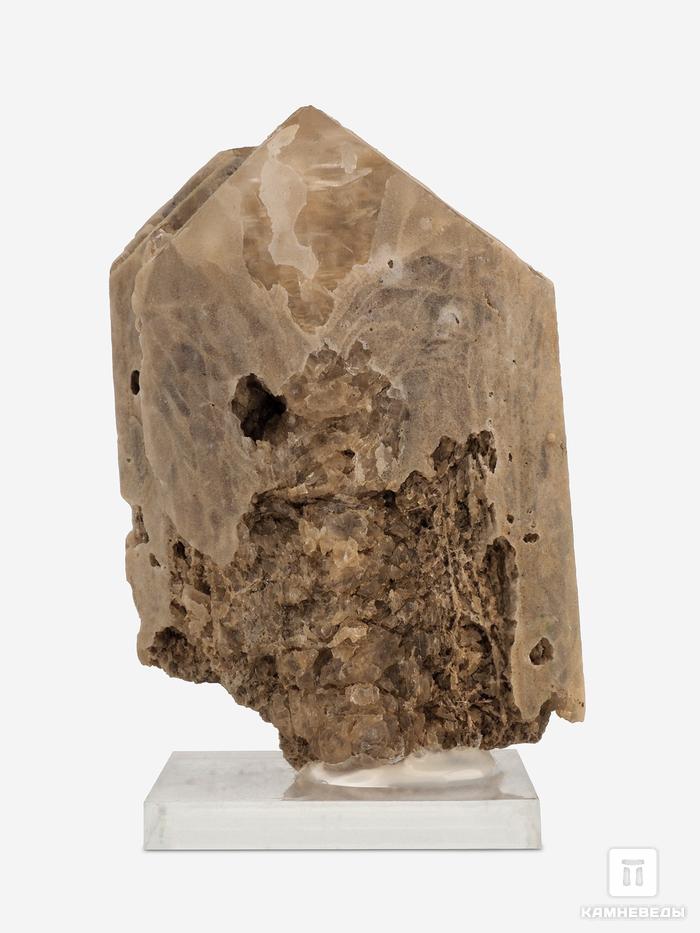 Данбурит, кристалл на подставке 6-9 см, 25688, фото 4