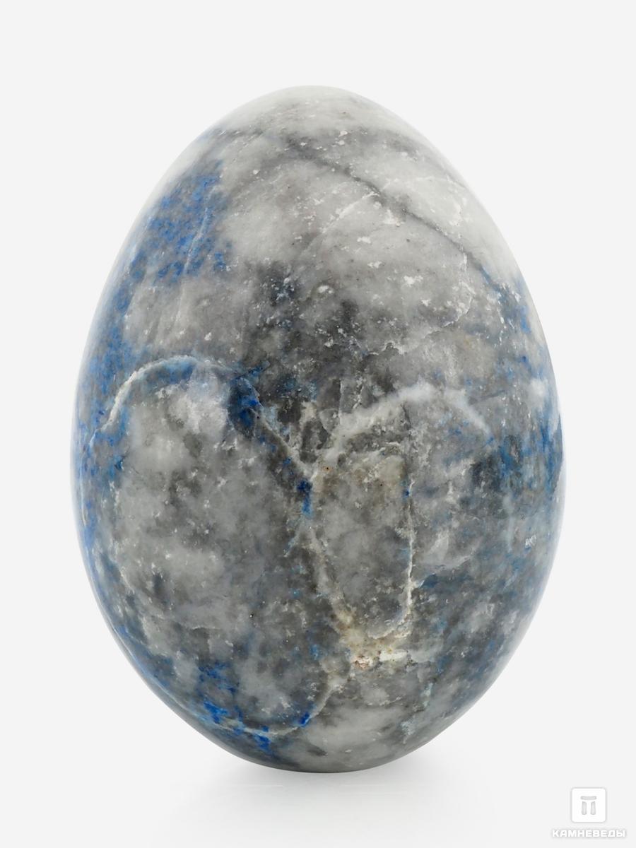 Яйцо из лазурита, 6,2х4,5 см модель из картона пасхальное яйцо коронационное