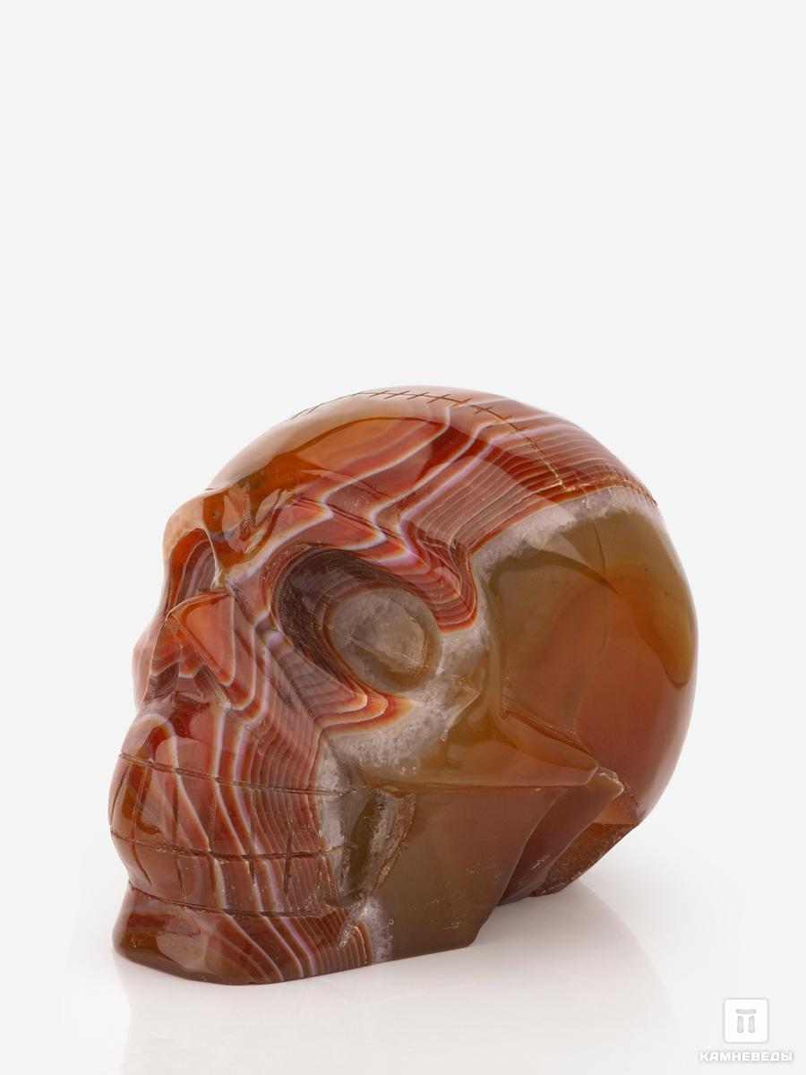 Череп из сердоликового агата, 12х9,5х8,5 см коронованный череп