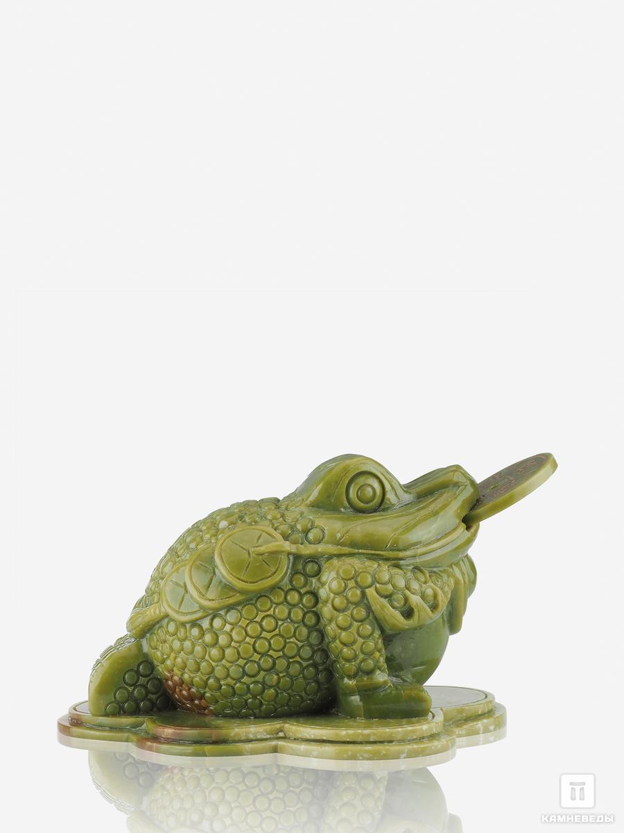 Денежная трёхлапая жаба из серпентинита, 31х24х16,5 см сувенир бонсай 240 камней денежная жаба у янтарного дерева 25х19х13 см
