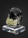 Ильваит, сросток кристаллов 12х8,3 см, 25543, фото 2