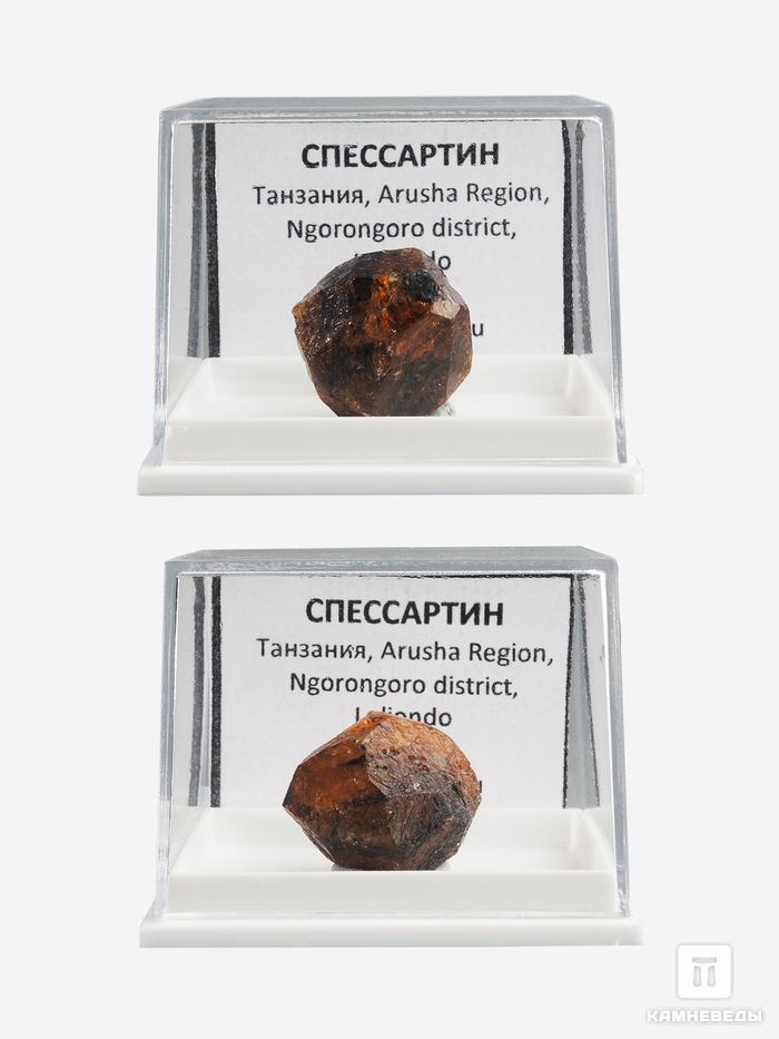 Спессартин (гранат), кристалл в пластиковом боксе 1,8х1,6х1,6 см, 21936, фото 3