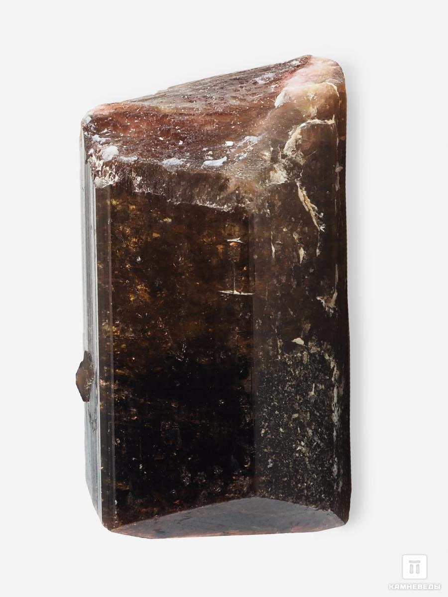 шерл чёрный турмалин кристалл 20х8х5 5 см Турмалин, кристалл 2,8х1,8х1,6 см
