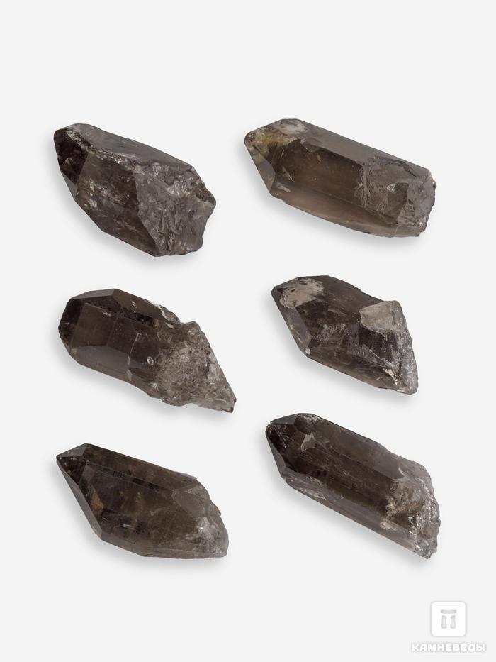 Дымчатый кварц (раухтопаз), кристалл 2,5-3 см, 10-170/5, фото 2