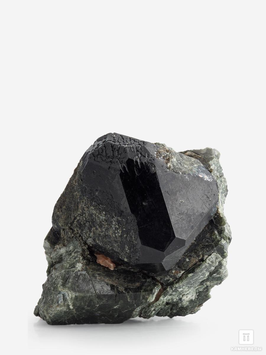 Шпинель чёрная кристалл с диопсидом, 7,6х5,6х5,2 см шпинель чёрная кристалл с кальцитом и диопсидом 4 4х3 3х1 8 см
