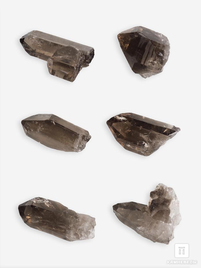 Дымчатый кварц (раухтопаз), кристалл 2-3,5 см, I категория, 10-170, фото 2