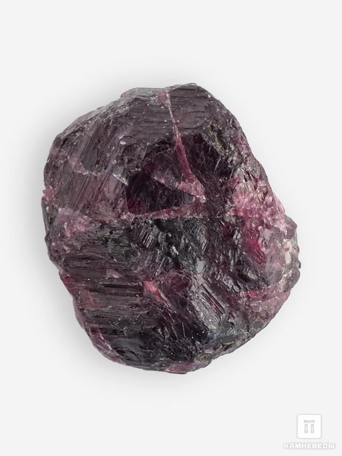 Гранат (альмандин), кристалл, 1-1,5 см, 10-158/7, фото 1