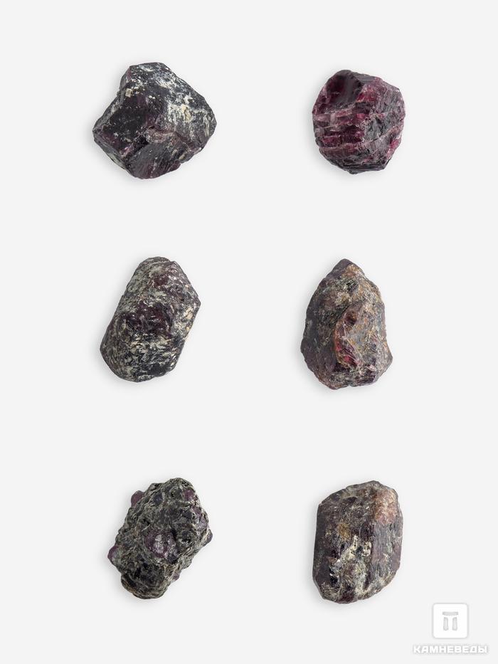 Гранат (альмандин), кристалл, 1-1,5 см, 10-158/7, фото 2