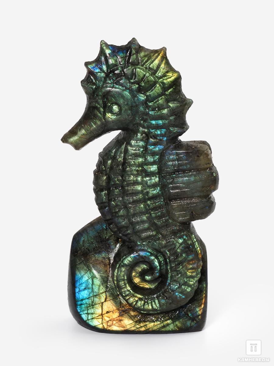 Морской конёк из лабрадора, 8,4х4х2,4 см конёк горбунок русская сказка в трёх частях