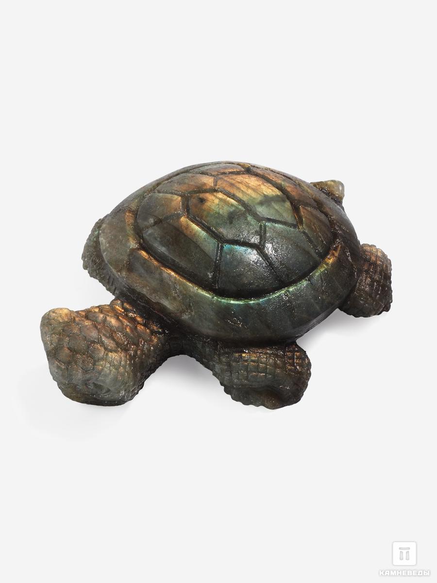 Черепаха из лабрадора, 6,6х5х2 см мягкая аппликация любимые герои львенок и черепаха