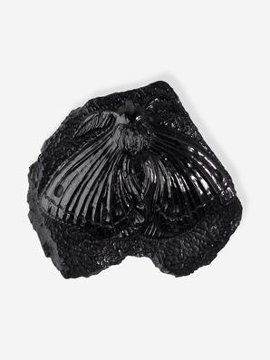 Шерл, Турмалин. Мотылёк из шерла (чёрного турмалина), 6,5х6х1,7 см