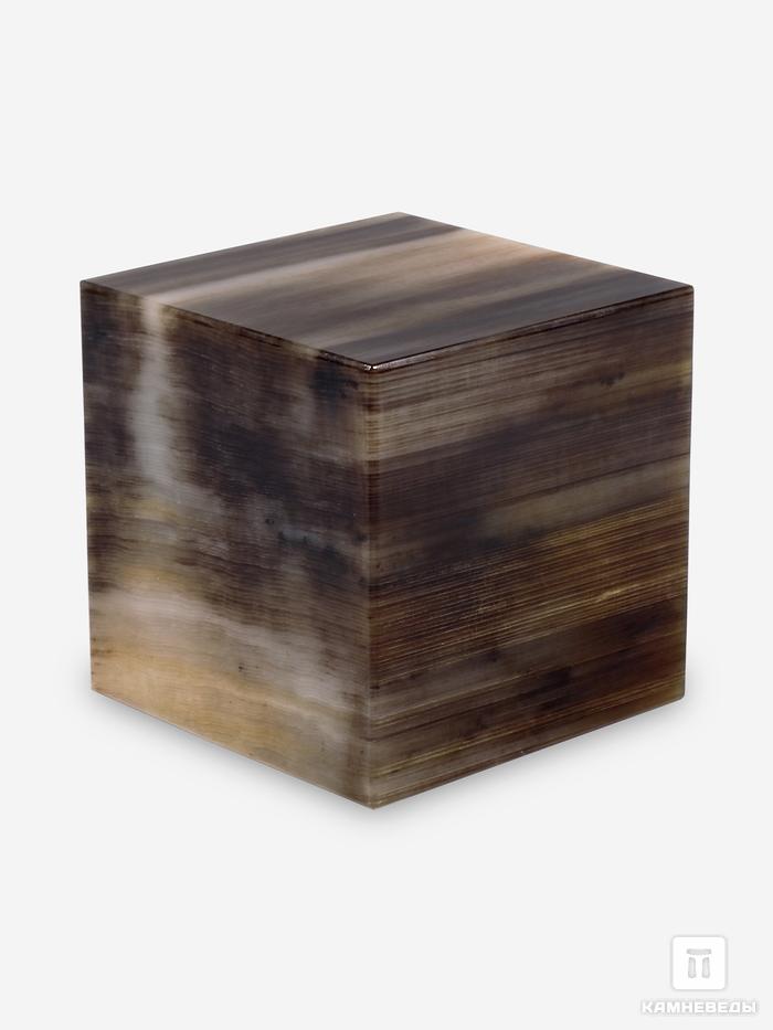 Куб из окаменелого дерева, 5,8х5,8 см, 26691, фото 2