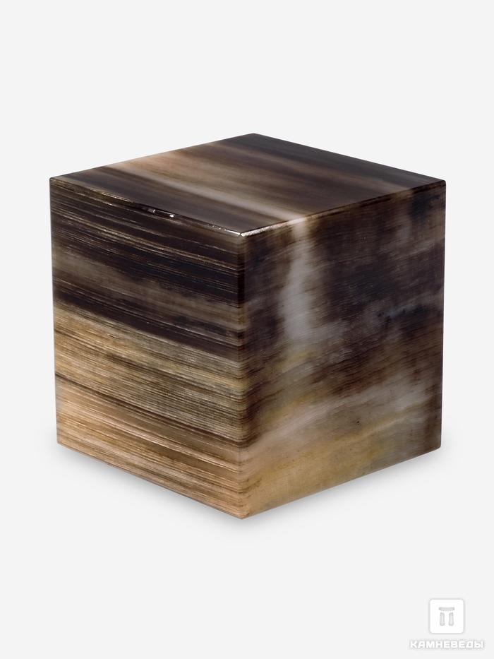 Куб из окаменелого дерева, 5,8х5,8 см, 26691, фото 1