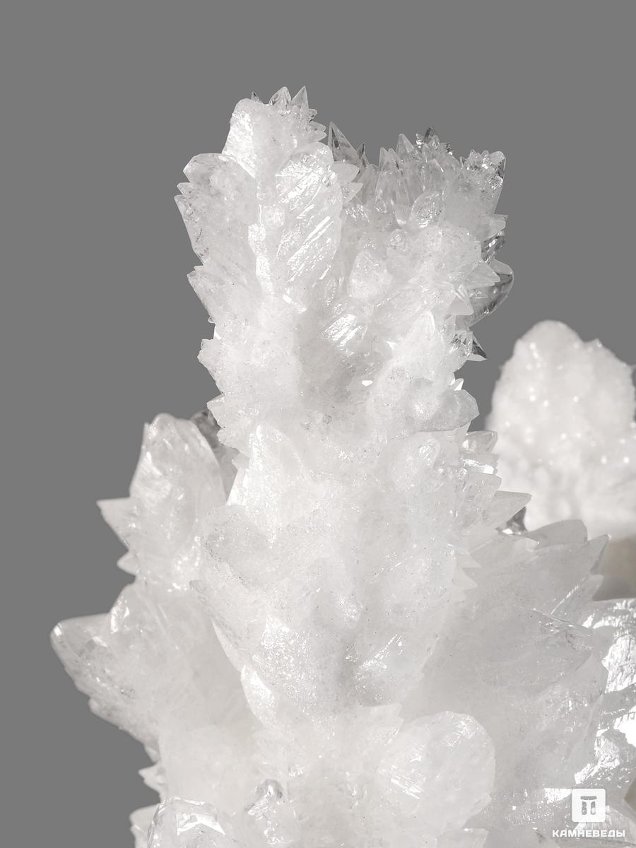 Арагонит белый, 14,5х12,3х7,5 см целестин на аргиллите хризантемовый камень 18 2х16 5х12 3 см