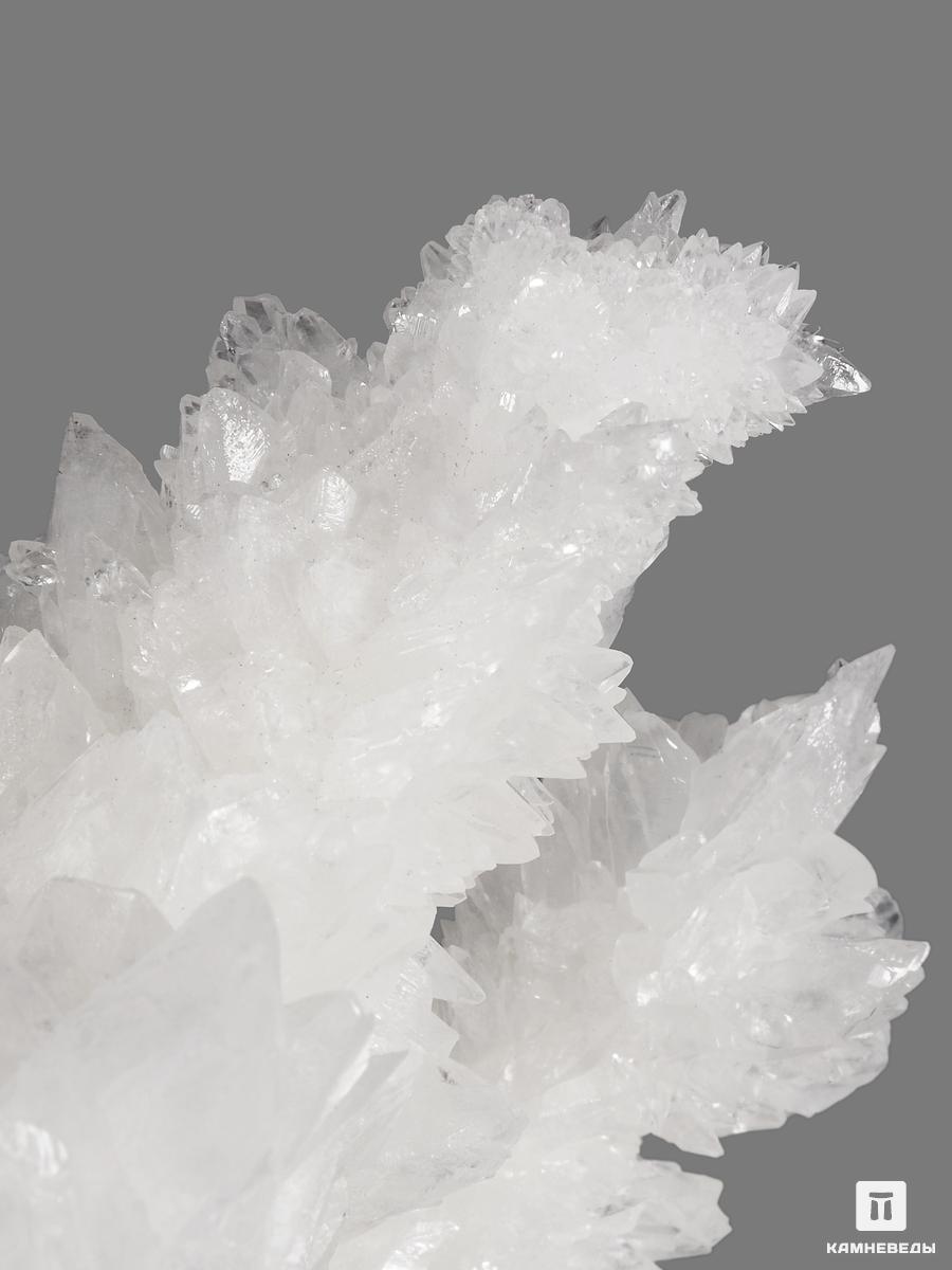 Арагонит белый, 12,5х11,3х9 см шкатулка сундучок клетка и сеточка набор 2 шт 7 5х11 5х7 см 10 5х15х11 см