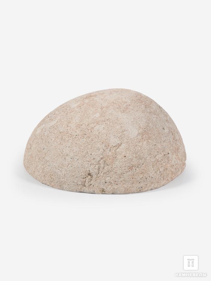 Глендонит в песчанике, полированный срез 6х4,5 см, 26539, фото 3