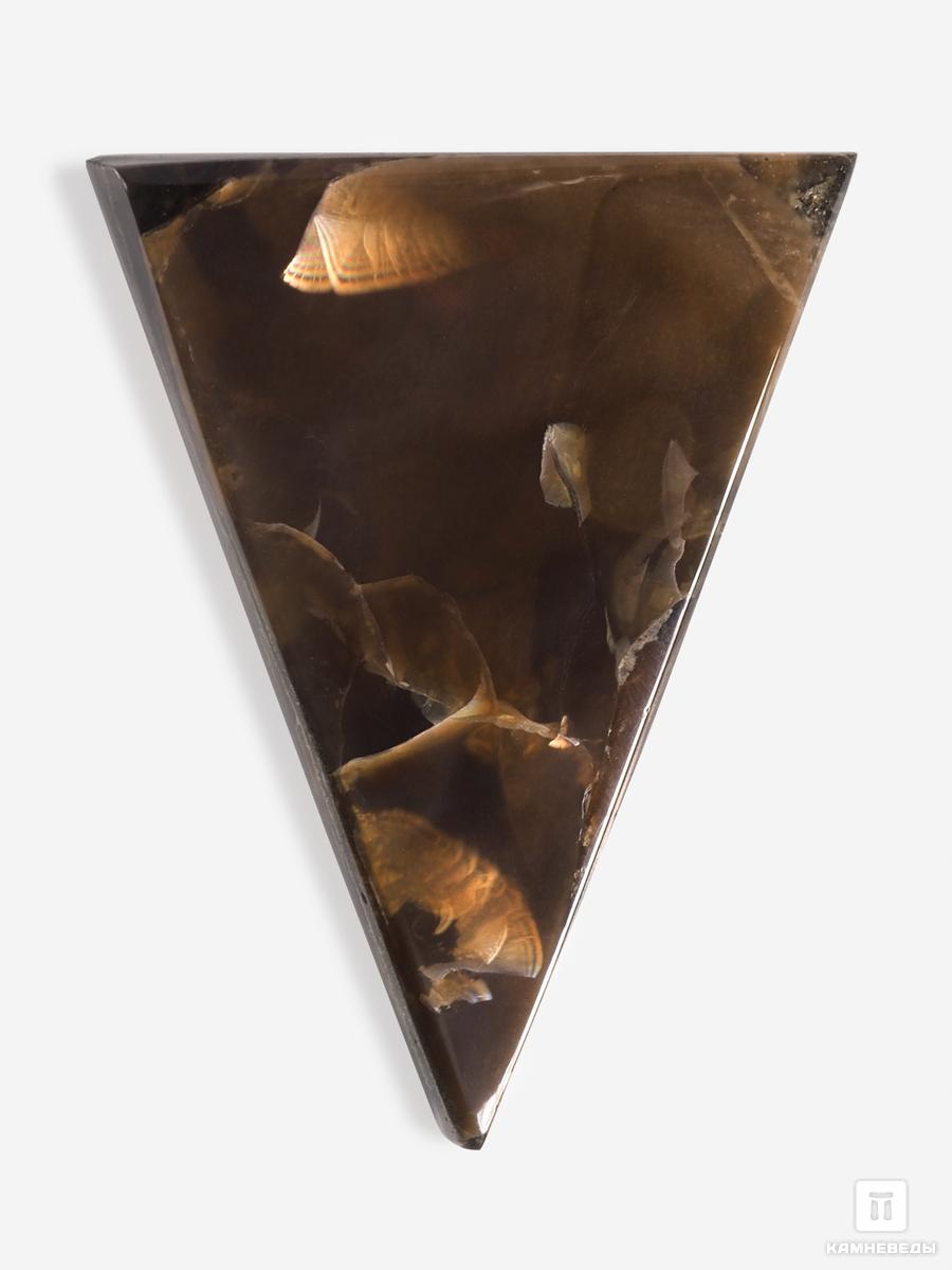 Аммолит (ископаемый перламутр аммонита), 3,0х1,5х0,4 см фигура ангелочек сидит на бревне перламутр 7х4х4см