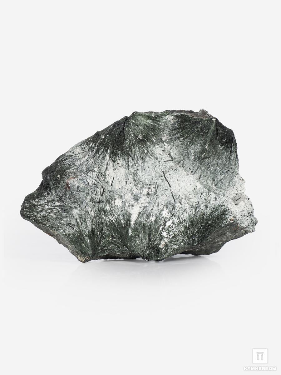 Эгирин, 11х7,6х4,5 см эгирин игольчатый на кристаллах анальцима 7 5х7х4 см