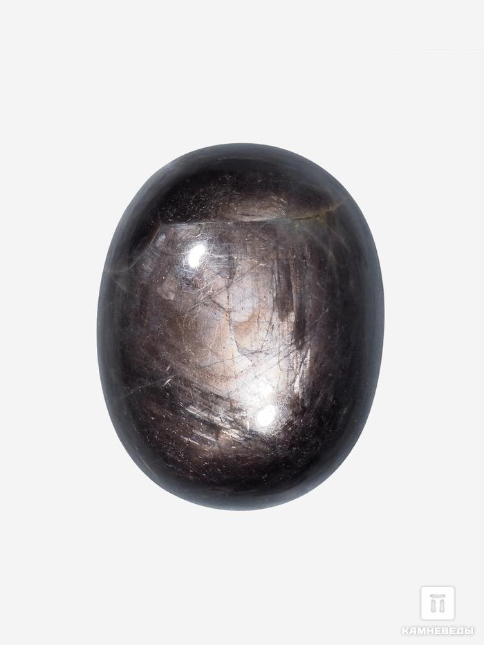 Корунд «Чёрный сапфир», кабошон 2,7х2,1х1,2 см (75 ct), 26748, фото 1