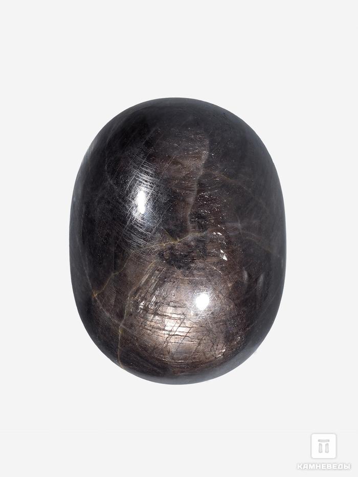 Корунд «Чёрный сапфир», кабошон 3,1х2,3х1,2 см (90 ct), 26752, фото 1