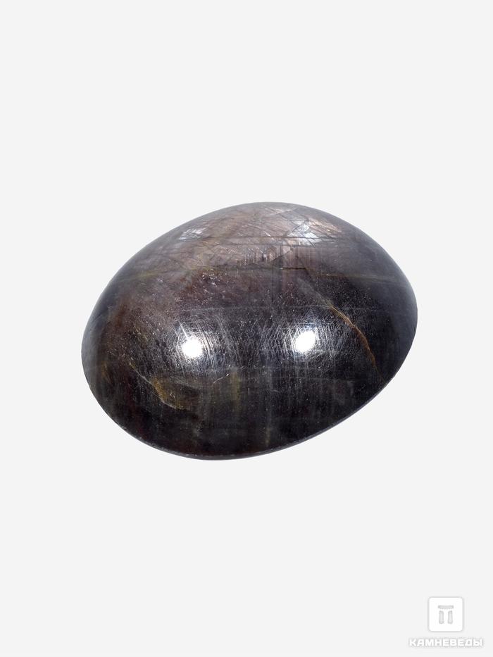 Корунд «Чёрный сапфир», кабошон 3,1х2,8х1,2 см (113 ct), 26763, фото 2