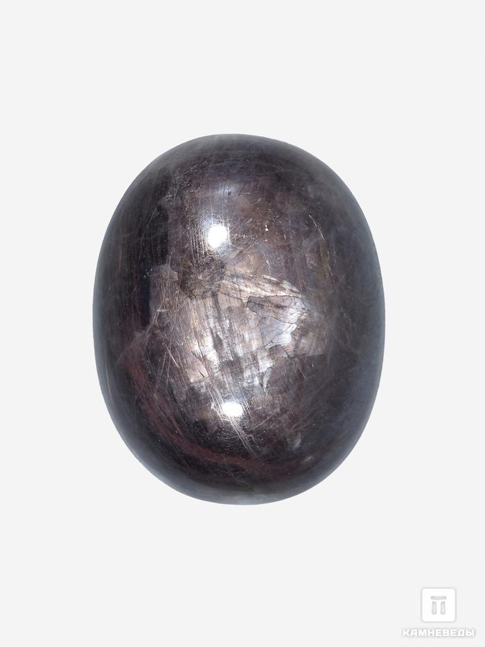 Корунд «Чёрный сапфир», кабошон 3,2х2,5х1,4 см (122 ct), 26764, фото 1