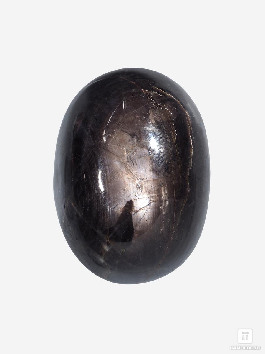 Корунд «Чёрный сапфир», кабошон 3х2,1х1,2 см (82 ct) силиконовый браслет ъуъ чёрный 20см