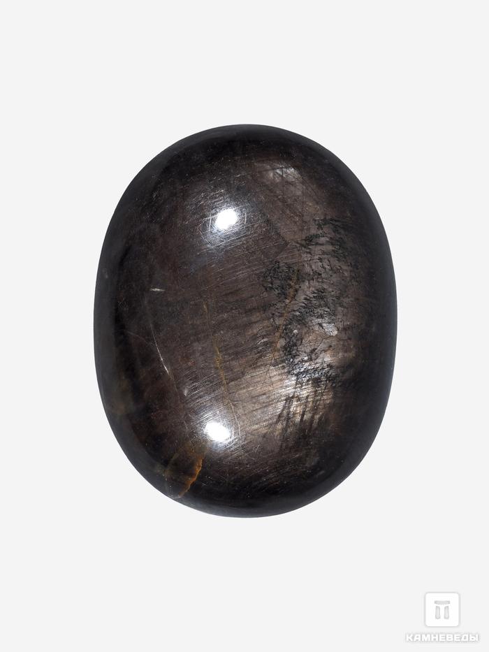 Корунд «Чёрный сапфир», кабошон 3,5х2,7х1,1 см (117 ct), 26768, фото 1
