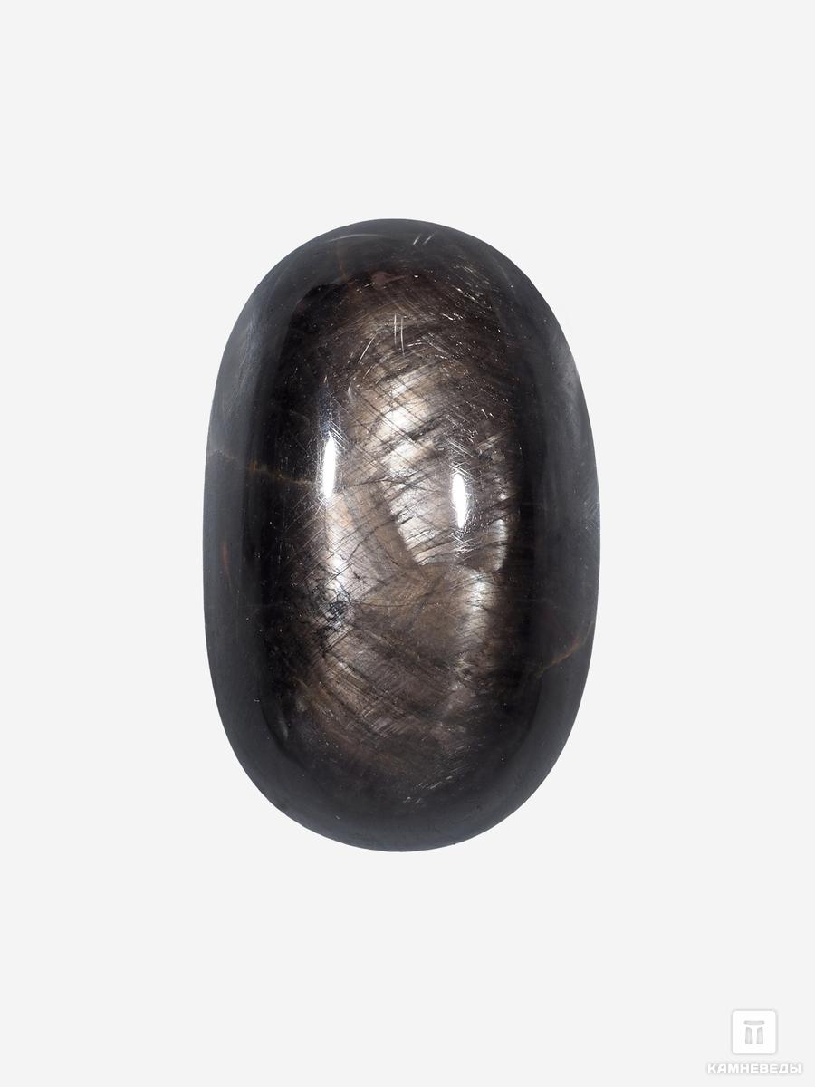 Корунд «Чёрный сапфир», кабошон 3,4х2,1х1,4 см (109 ct) носки женские махра внутри чёрный размер 23