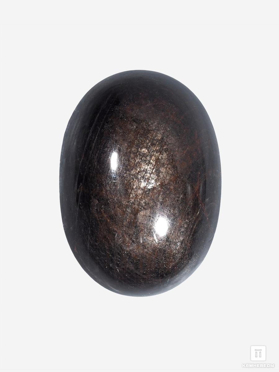 Корунд «Чёрный сапфир», кабошон 2,8х2,1х1,3 см (76 ct) сумка хозяйственная на кнопке складная чёрный белый