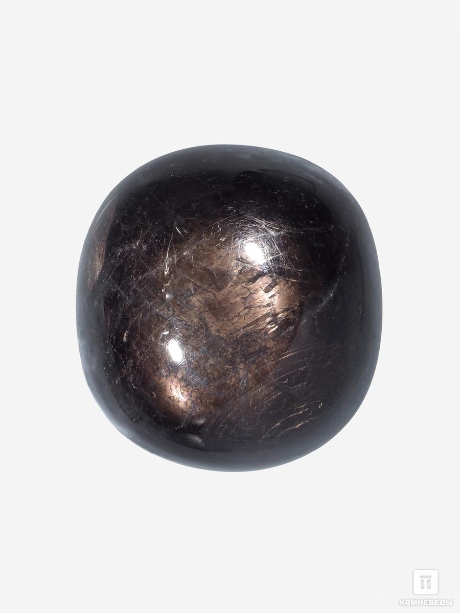 Корунд «Чёрный сапфир», кабошон 2,5х2,4х1,2 см (78 ct) чёрный красавчик