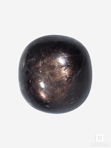 Корунд. Корунд «Чёрный сапфир», кабошон 2,5х2,4х1,2 см (78 ct)