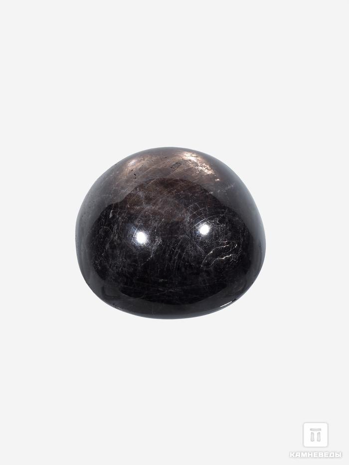 Корунд «Чёрный сапфир», кабошон 2,5х2,4х1,2 см (78 ct), 26776, фото 2