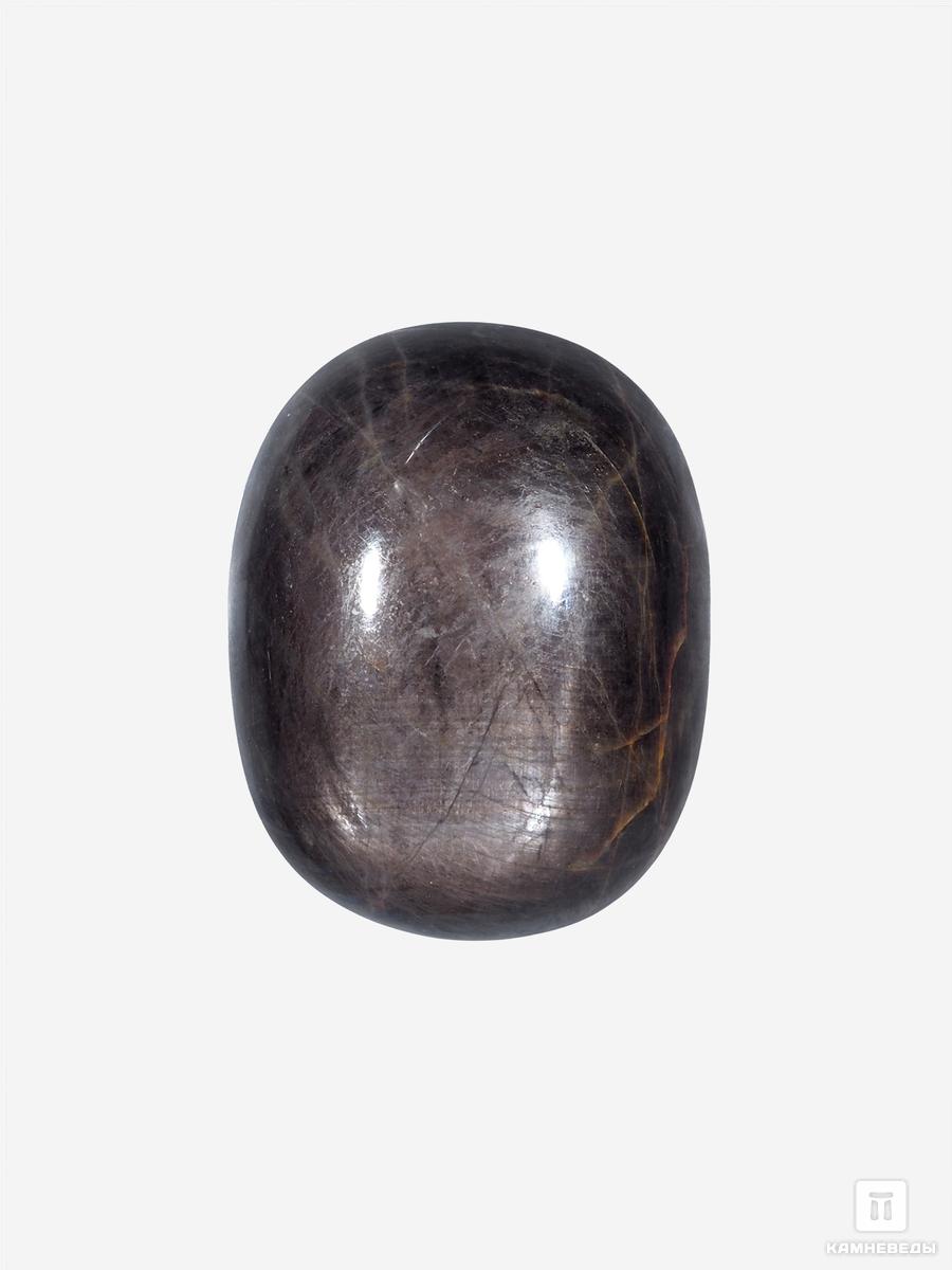 Корунд «Чёрный сапфир», кабошон 2,8х2,2х1,1 см (72 ct) mark shmidt фен mark shmidt black чёрный 2 насадки 2200w