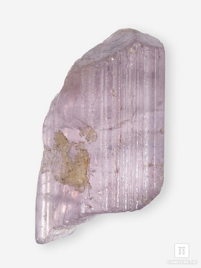 Скаполит, кристалл 3,1х1,8х1,3 см, 26804, фото 2