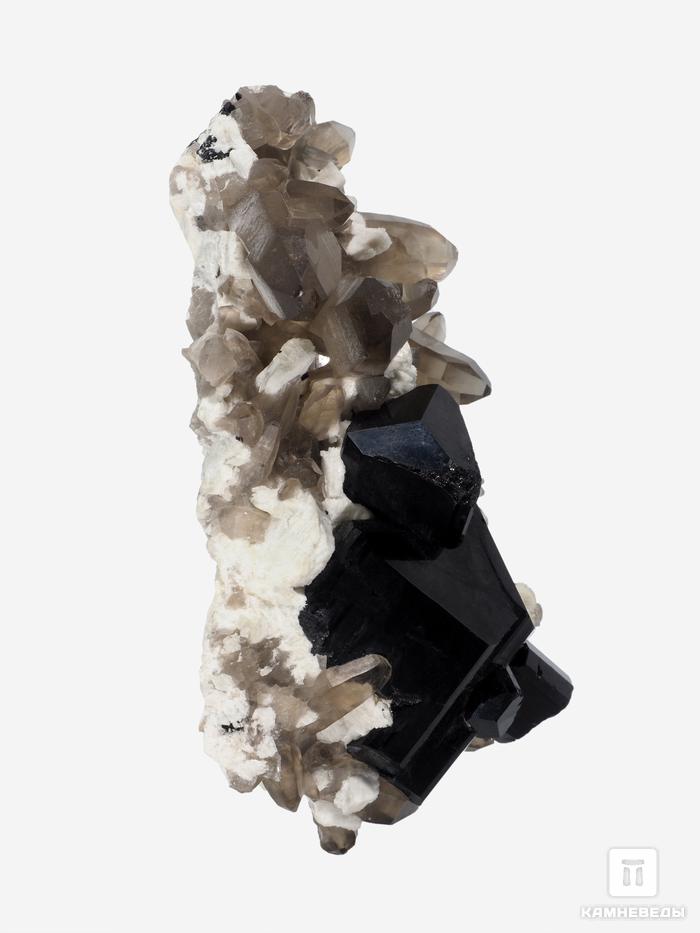 Шерл (чёрный турмалин), дымчатый кварц (раухтопаз) на полевом шпате, друза 11,5х8,1х4,1 см, 26912, фото 3