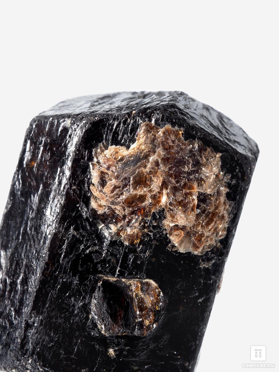Дравит (турмалин), двухголовый кристалл 3,5х2,6х2,1 см