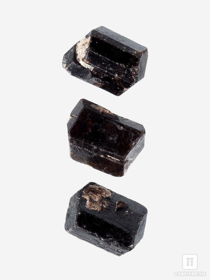Дравит (турмалин), двухголовый кристалл 3,5х2,6х2,1 см, 26926, фото 3