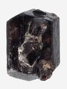 Дравит (турмалин), двухголовый кристалл 3,5х2,1х1,5 см, 26941, фото 2