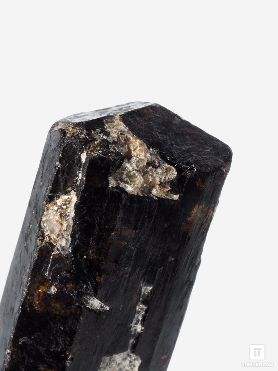 шерл чёрный турмалин кристалл 4 1х0 9 см Дравит (турмалин), двухголовый кристалл 3,5х2,1х1,5 см